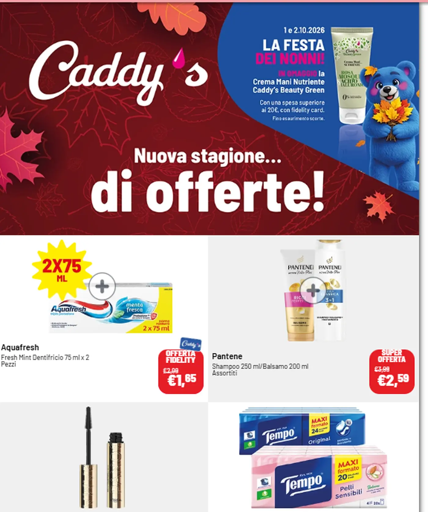 Pagina 1 del volantino